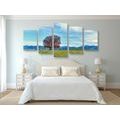 5-PIECE CANVAS PRINT MOUNTAIN PANORAMA - PICTURES OF NATURE AND LANDSCAPE - PICTURES