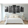 5-PIECE CANVAS PRINT MORNING IN THE FOREST IN BLACK AND WHITE - BLACK AND WHITE PICTURES - PICTURES