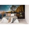 WALL MURAL TREE UNDER THE STARRY SKY - WALLPAPERS NATURE - WALLPAPERS