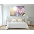 CANVAS PRINT DETAILED VIEW OF A DANDELION - PICTURES FLOWERS - PICTURES
