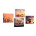 CANVAS PRINT SET CHARMING NATURE - SET OF PICTURES - PICTURES