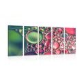 5-PIECE CANVAS PRINT OIL DROPS IN AN ABSTRACT DESIGN - ABSTRACT PICTURES - PICTURES