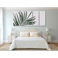 5-TEILIGES WANDBILD WUNDERSCHÖNES PALMENBLATT - STILLLEBEN-BILDER{% if product.category.pathNames[0] != product.category.name %} - BILDER{% endif %}