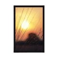 POSTER SUNRISE OVER THE MEADOW - NATURE - POSTERS