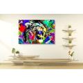 CANVAS PRINT COLORFUL LION HEAD - POP ART PICTURES - PICTURES