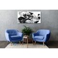 CANVAS PRINT MAGICAL INTERPLAY OF STONES AND ORCHIDS IN BLACK AND WHITE - BLACK AND WHITE PICTURES - PICTURES