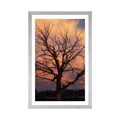 POSTER WITH MOUNT BEAUTIFUL TREE ON THE MEADOW - NATURE - POSTERS