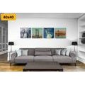 KOMPLET SLIK LEPOTE MESTA NEW YORK - KOMPLETI SLIK - SLIKE