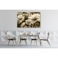 CANVAS PRINT FIELD OF WILD POPPIES IN SEPIA - BLACK AND WHITE PICTURES - PICTURES