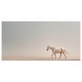 OBRAZ KLIDNÝ KŮŇ NA PÍSKU - OBRAZY KONĚ - OBRAZY