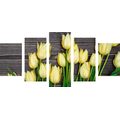 5-TEILIGES WANDBILD BEZAUBERNDE GELBE TULPEN AUF HÖLZERNEM HINTERGRUND - BILDER BLUMEN - BILDER