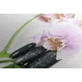 CANVAS PRINT STILL LIFE WITH ZEN STONES - PICTURES FENG SHUI - PICTURES