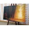 CANVAS PRINT PATH IN THE FOREST - PICTURES OF NATURE AND LANDSCAPE - PICTURES