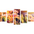 5-PIECE CANVAS PRINT BEAUTIFUL BLOOMING FLOWERS IN THE GARDEN - PICTURES FLOWERS - PICTURES