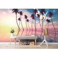 SELF ADHESIVE WALLPAPER SUNSET OVER TROPICAL PALM TREES - SELF-ADHESIVE WALLPAPERS - WALLPAPERS