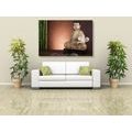 CANVAS PRINT MEDITATING BUDDHA - PICTURES FENG SHUI - PICTURES