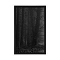 POSTER PATH IN THE FOREST IN BLACK AND WHITE - BLACK AND WHITE - POSTERS