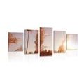 5-PIECE CANVAS PRINT AUTUMN ATMOSPHERE - PICTURES OF FIELDS AND MEADOWS - PICTURES