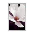 POSTER MAGNOLIA FLOWER ON AN ABSTRACT BACKGROUND - FLOWERS - POSTERS