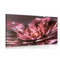 CANVAS PRINT FLORAL ILLUSION - ABSTRACT PICTURES - PICTURES