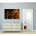 CANVAS PRINT ABSTRACT HORSE - ABSTRACT PICTURES - PICTURES