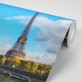 CARTA DA PARATI BELLISSIMO PANORAMA DI PARIGI - CARTA DA PARATI CITTÀ - CARTA DA PARATI