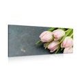 WANDBILD PASTELL ROSA TULPEN - BILDER BLUMEN - BILDER