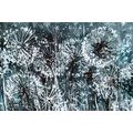 DANDELION WALLPAPER WITH ABSTRACT ELEMENTS - ABSTRACT WALLPAPERS - WALLPAPERS