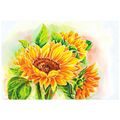 SELF ADHESIVE WALLPAPER BEAUTIFUL SUNFLOWER - SELF-ADHESIVE WALLPAPERS - WALLPAPERS