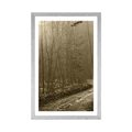 POSTER WITH MOUNT SEPIA PATH TO THE FOREST - NATURE - POSTERS