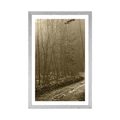 POSTER MIT PASSEPARTOUT WEG IN DEN WALD IN SEPIA - NATUR - POSTER