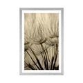 POSTER WITH MOUNT DANDELION SEEDS IN SEPIA DESIGN - BLACK AND WHITE - POSTERS