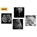 CANVAS PRINT SET WILD ANIMALS IN BLACK AND WHITE - SET OF PICTURES - PICTURES