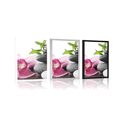 POSTER HARMONIOUS ZEN STILL LIFE - FENG SHUI - POSTERS