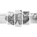 5-PIECE CANVAS PRINT PEONIES AND BIRCH HEARTS IN BLACK AND WHITE - BLACK AND WHITE PICTURES - PICTURES