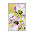 POSTER GARDEN FLOWERS - FLOWERS - POSTERS