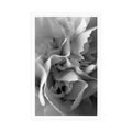 POSTER CARNATION PETALS IN BLACK AND WHITE - BLACK AND WHITE - POSTERS