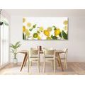 CANVAS PRINT MIX OF CITRUS FRUITS - PICTURES OF FOOD AND DRINKS - PICTURES