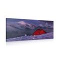 CANVAS PRINT TENT UNDER THE NIGHT SKY - PICTURES OF NATURE AND LANDSCAPE - PICTURES