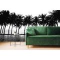 SELF ADHESIVE WALLPAPER SUNSET OVER PALM TREES IN BLACK AND WHITE - SELF-ADHESIVE WALLPAPERS - WALLPAPERS