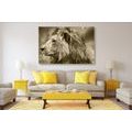 CANVAS PRINT AFRICAN LION IN SEPIA - BLACK AND WHITE PICTURES - PICTURES