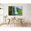 WANDBILD WASSERFALL IN ISLAND - BILDER VON NATUR UND LANDSCHAFT - BILDER