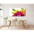 CANVAS PRINT BOUQUET OF FREESIAS - PICTURES FLOWERS - PICTURES