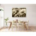 CANVAS PRINT FIELD OF WILD POPPIES IN SEPIA - BLACK AND WHITE PICTURES - PICTURES