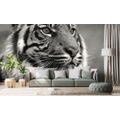 SELF ADHESIVE WALL MURAL BENGAL BLACK AND WHITE TIGER - SELF-ADHESIVE WALLPAPERS - WALLPAPERS