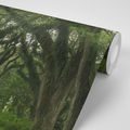 SELF ADHESIVE WALL MURAL PATH COVERED WITH GREENERY - SELF-ADHESIVE WALLPAPERS - WALLPAPERS