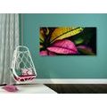 CANVAS PRINT FRESH LEAVES - PICTURES OF NATURE AND LANDSCAPE - PICTURES
