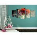 5-PIECE CANVAS PRINT ROSE WITH ABSTRACT ELEMENTS - PICTURES FLOWERS - PICTURES