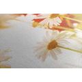 CANVAS PRINT MAGICAL DAISIES - PICTURES FLOWERS - PICTURES