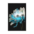 POSTER DAISY ON A BLACK BACKGROUND - FLOWERS - POSTERS